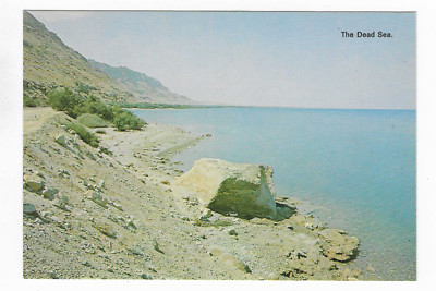 Vintage Postcard The Dead Sea Coast Shore Israel West Bank Middle East UNP