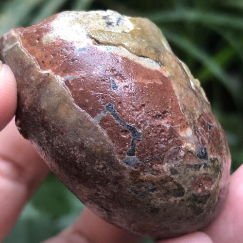 77G INCREÍBLE PERMIAN ENTERO 3 COLORES SUTURA AMONITA FÓSIL CALCITA MOLUSCO - Imagen 13 de 15