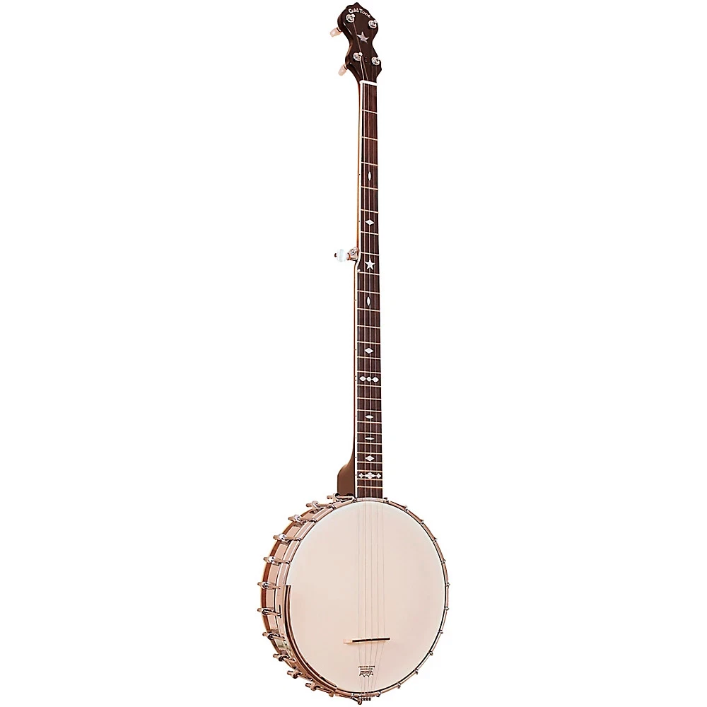 Long Neck Banjo for sale | eBay