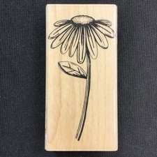 Coneflower or Daisy Rubber Stamp 2x4 inches Light Stain