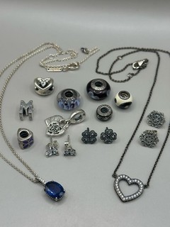 Lot Of Authentic PANDORA Sterling Silver Jewelry Charm Pendant Necklace Earring