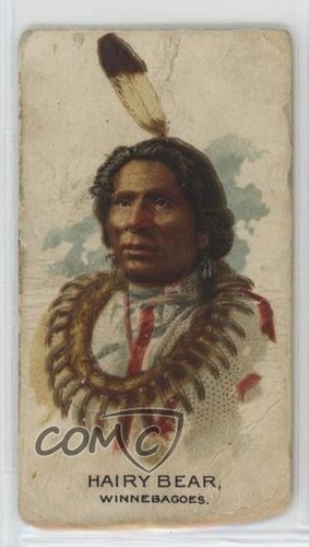 1888 N2 Allen & Ginter #24 Hairy Bear — Raw