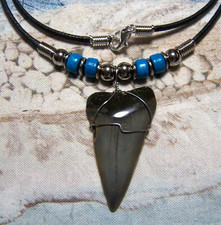 MAKO SHARK TOOTH NECKLACE 1 5/8