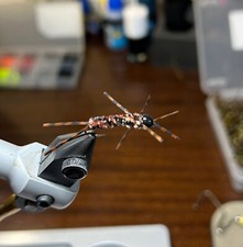 Six tungsten stonefly euro nymph brown pat’s rubber legs. #10 hook 4.5mm bead