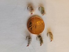 Lot of 5 Custom Angler "Sowbug" Hand Tied Fly Fishing Flies-Size 14 Tiemco Nymph