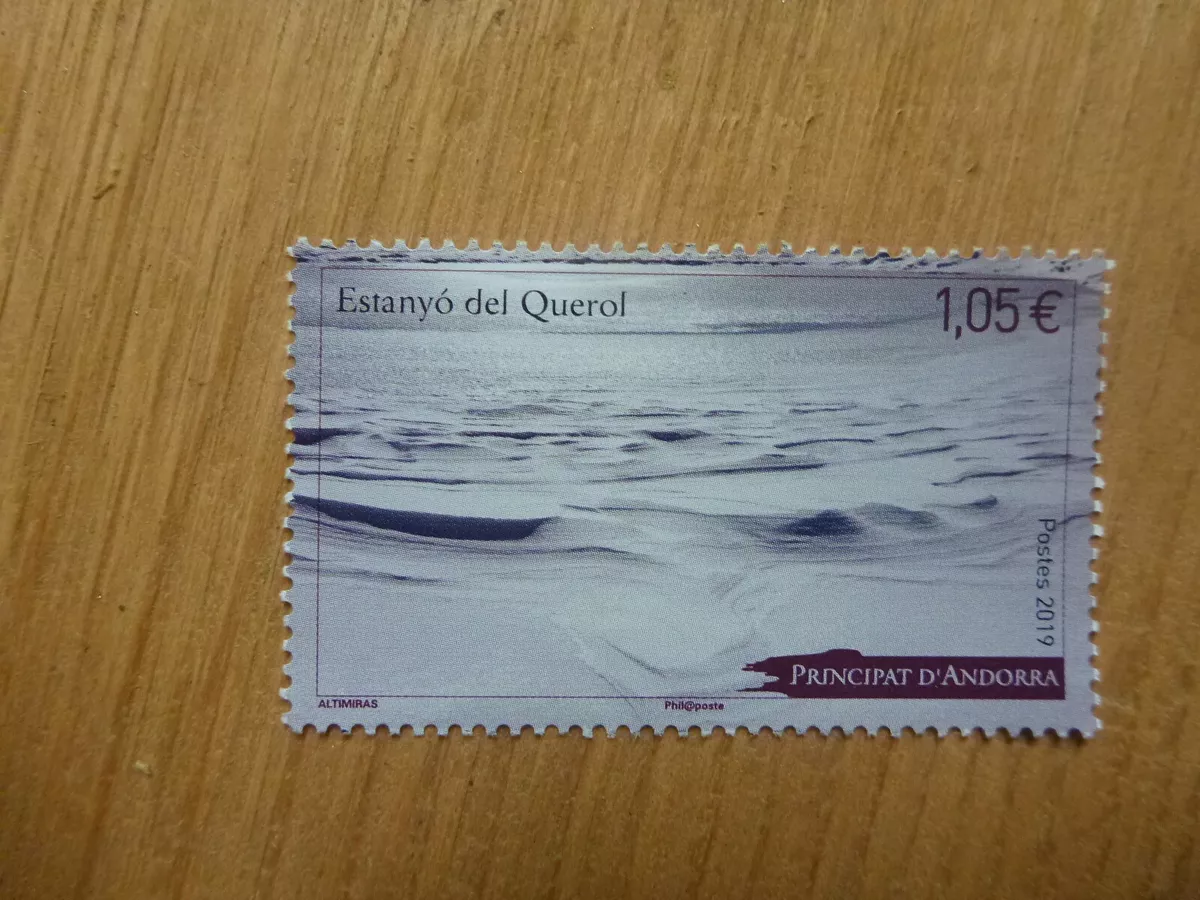 Querol online new arrivals