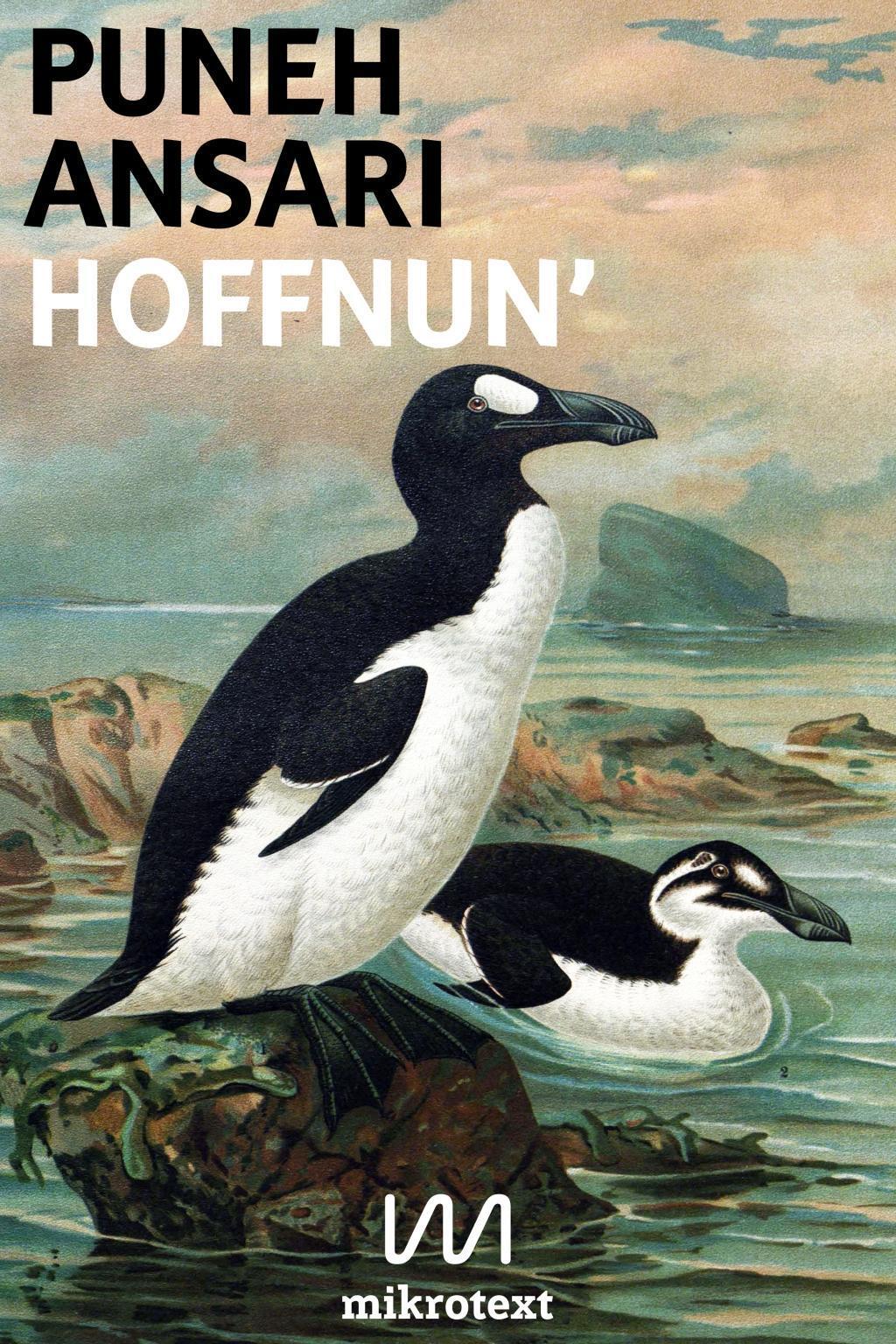 Thumbnail - Hoffnun' Puneh Ansari