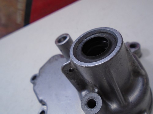 Suzuki SV 1000 2006 cubierta del eje de cambio 06 SV1000 03-07 - Imagen 4 de 6