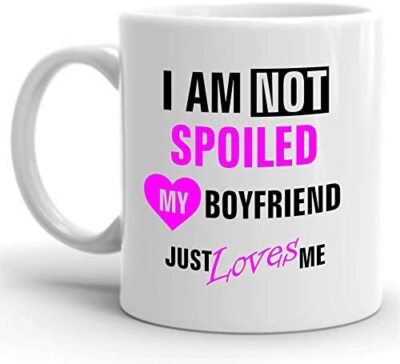 CiderPressMugs  Ich bin nicht verwöhnt Mein Freund liebt mich einfach Tasse Neuheit lustig