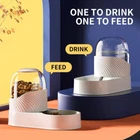 Automatic Pet Feeder - Water & Food Feeder