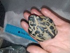 Native American Indian Hydroglypgic Rock Oregon Petroglyph Ancient Basalt 2.5" — photo 7