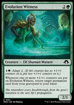 Magic/MTG Evolution Witness MH3-151 Common Englisch Neu
