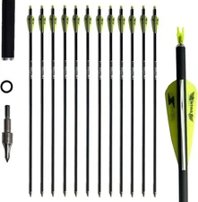 12PACK 31inch Carbon Arrow Targeting Practice Hunting Arrows with Removable Tips