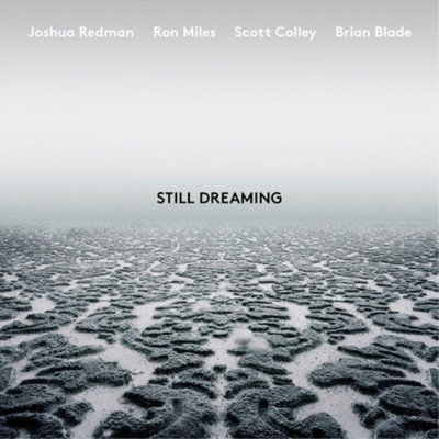 Joshua Redman Still Dreaming (Feat. Ron Miles, Scott Colley & Brian Blade) (CD)