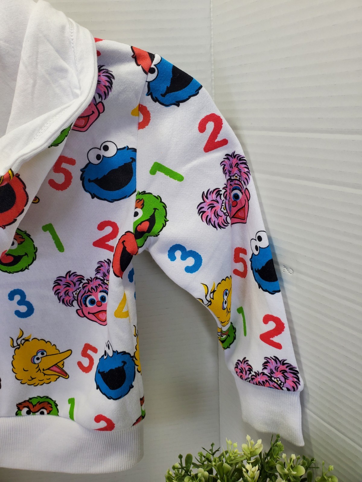 Sesame Street x Reebok Character Hoodie Pullover Sweatshirt Size 4T 🔴🔵🟡 NWT thumbnail 9