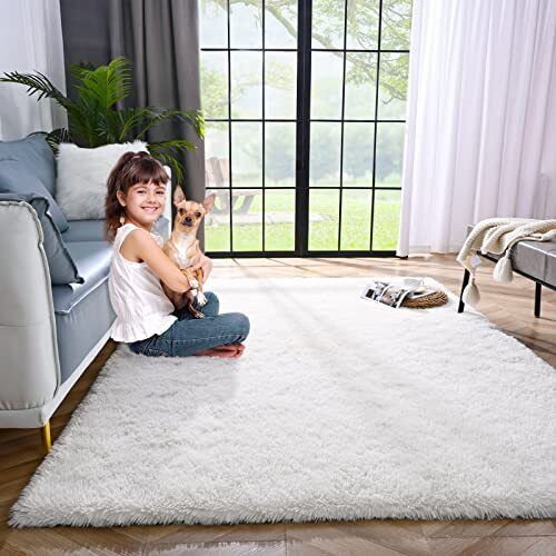 Lascpt Area Rugs for Living Room, Super Soft Fluffy Assorted Sizes , Colors