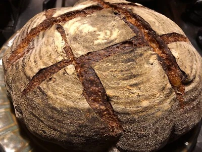 Bavarian "Black Death" Sourdough Starter YEAST 400 Year-Old History ACTIVE SOUR - Image 1 of 4