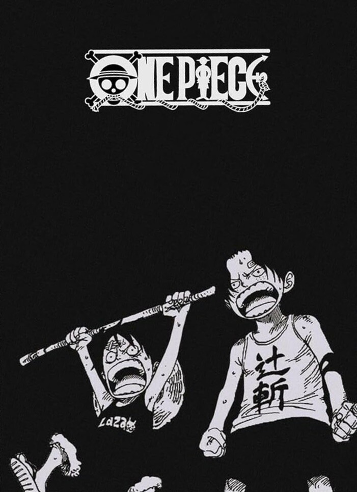 1 sleeve Monkey D. Luffy and Portgas D. Ace | One Piece Card Game Don (2024)