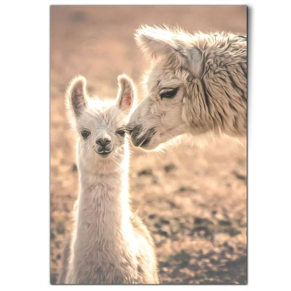 A1 Cute Llama Alpaca Mum Baby Poster 59.4x84.1cm180gsm Print