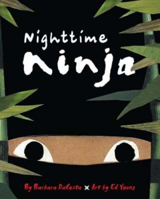 Nighttime Ninja by Barbara Dacosta: New
