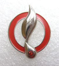 Martial Arts Kenpo Flame Label Pin (E557)