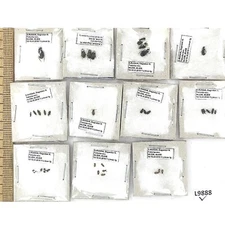 Carabidae sp., 35 ex., A1, Russia, L9888