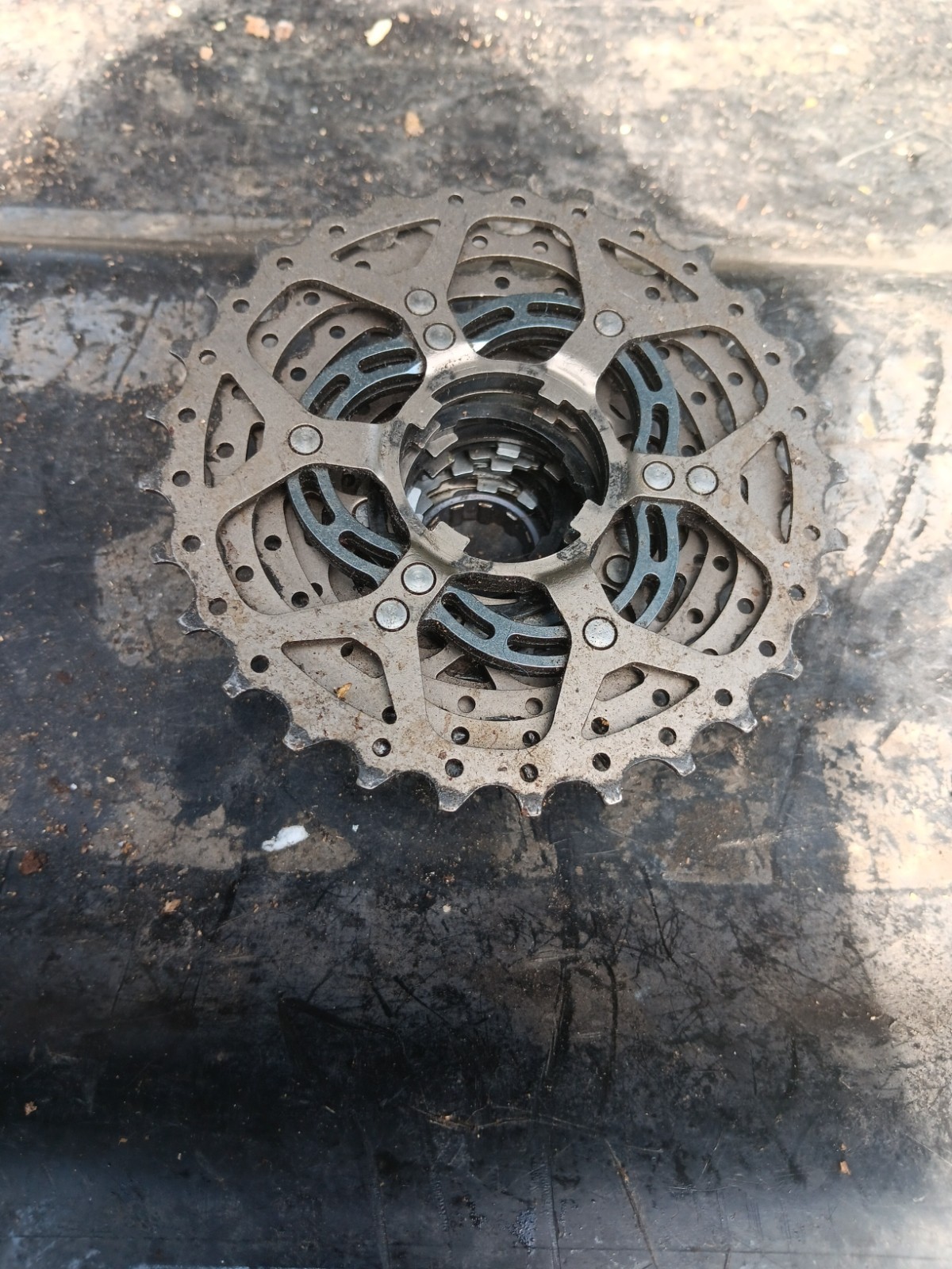 Campagnolo Super Record 12-29 cassette SIX TITANIUM COGS UNTESTED, NO ...