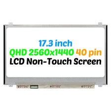 17.3" Screen for Dell Alienware M17 R1 LCD Display 40pin QHD 2560 1440 Non-Touch