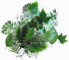 160Pcs Flower Plant Stickers,20 Patterns PET Transparent Decorative Stickers, Fl