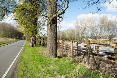 Foto 6x4 Laubbäume zwischen Straßen Gateshead Die Natur der beiden R c2016