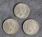 Lot of 3 circulated Peace Dollars - 1922s, 1923, 1923d