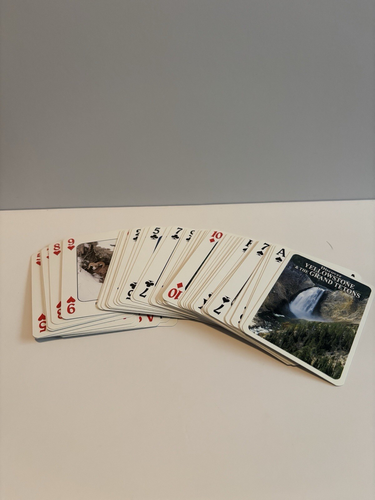 Picture 5 of 6