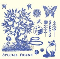 Special Friend - Clipping - Vinyl Record Vl - G3Z