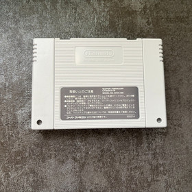 Nintendo Super Famicom Umihara Kawase Cartridge only SFC SNES JAPAN