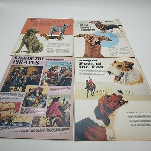 World of Wonder Vintage Children's Science & Discovery Magazine 1973 - 44 Issues - Picture 3 of 22