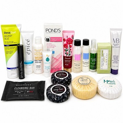 17pc Beauty Lot Skincare Hair Makeup Deluxe Travel Size Bundle Mix