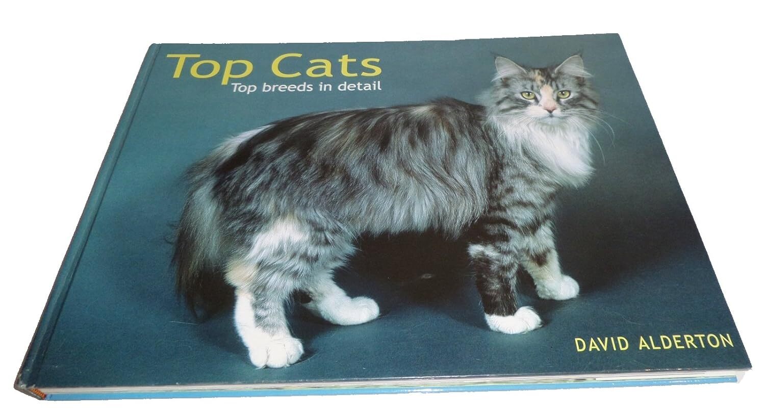 Top Cats [hardcover] Alderton, David [Mar 30, 2007]