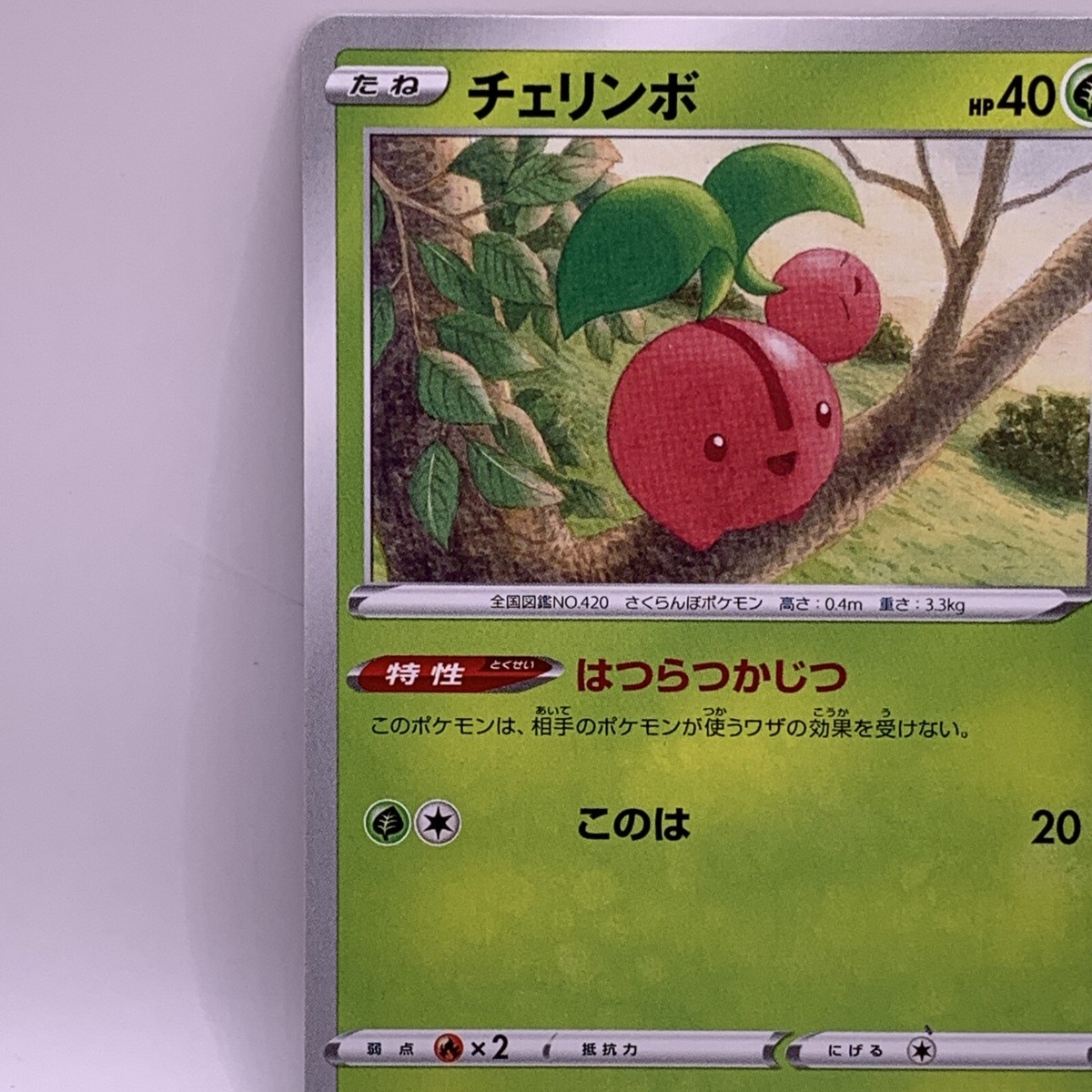 destroyed pokemon cards His dog DESTROYED his favorite Pokemon card  This collector left his  prized PSA 10 Magikarp card on a shelf, only for his dog Annie to knock it  down and get to work