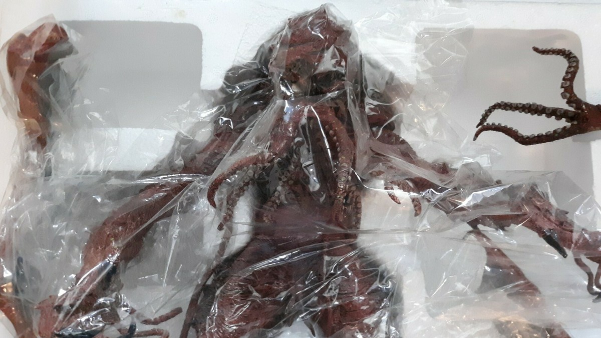 Boceto De Cthulhu De Tiys Legends Of Cthulhu Retro Action Figure Toy