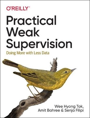 Practical Weak Supervision - 9781492077060