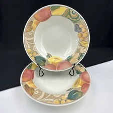 Mikasa Heritage ORCHARD ODYSSEY CAB04 Set Of (2) 9 3/8” Rimmed Soup Bowls