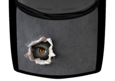 Eye Peeking Through Ripped Hole Horror Truck Hood Wrap Vinyl Car Graphic Decal 