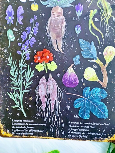 Herbology Sign. Wicca. Witchcraft. Home Decor - Picture 2 of 7