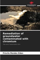 Priscila Mendes Zidan | Remediation Of Groundwater Contaminated With Chromium