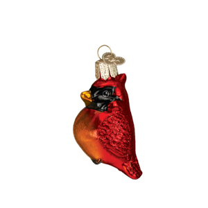 Old-World-Christmas-MINI-CARDINAL-16080-N-Glass-Ornament-w-OWC-Box