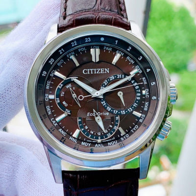 Citizen Calendrier BU2020-29X Brown Dial Stainless Steel Men's Eco