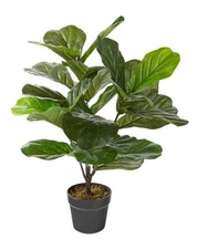 Naturae Decor Fiddle Leaf Plant - Lifelike Artificial Indoor House Plant - 27...
