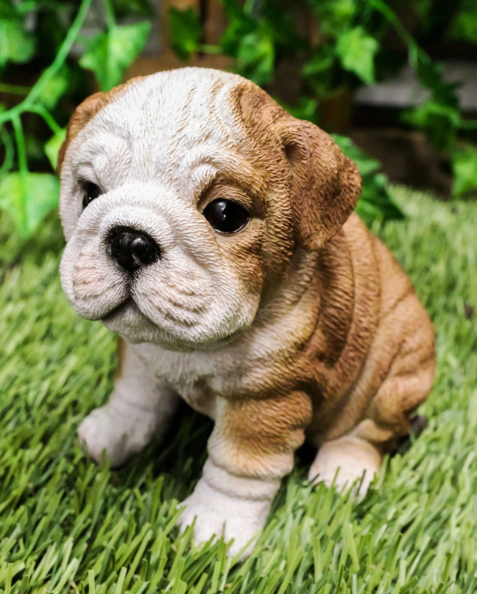 Lifelike Bulldog Puppy Statue