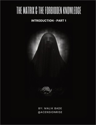 The Matrix & The Forbidden Knowledge (Part 1) (Paperback or Softback)