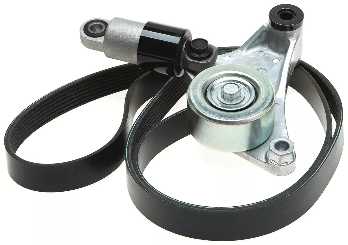 Scion tc top serpentine belt